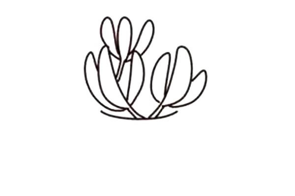 漂亮的多肉植物简笔画教程 漂亮的多肉植物简笔画教程