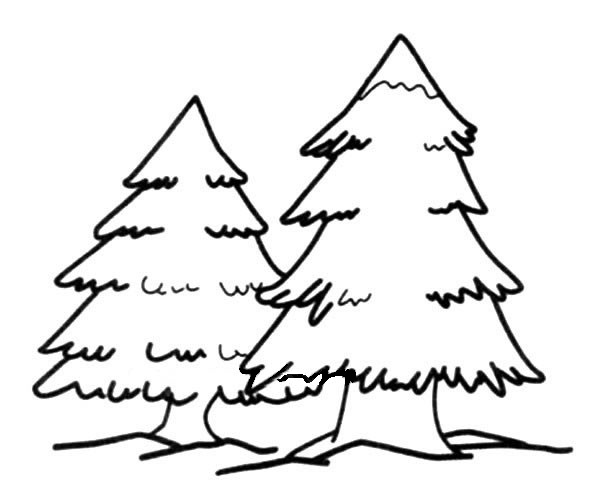 两颗松树的简笔画