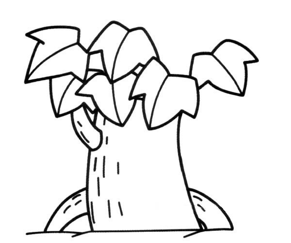 粗壮的大树简笔画