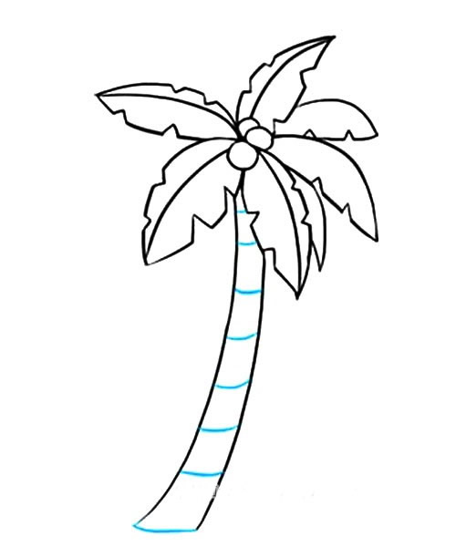 涂色的棕榈树简笔画