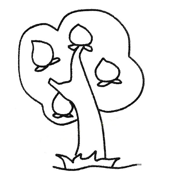 结满果实的桃树简笔画