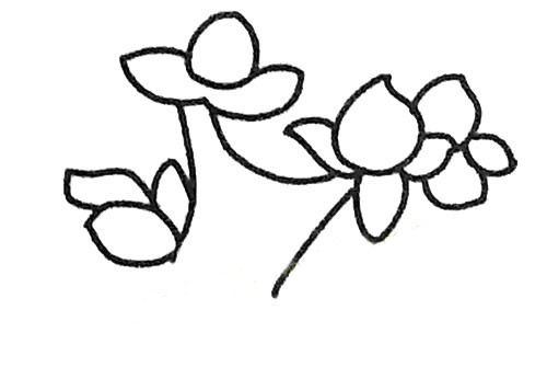 关于桃树的简笔画步骤