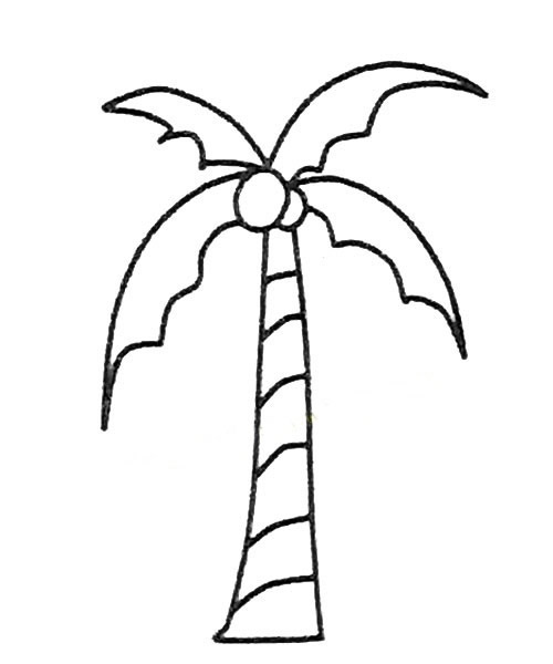 5款关于椰树的简笔画大全