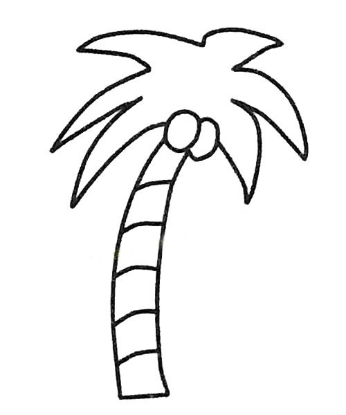 5款关于椰树的简笔画大全