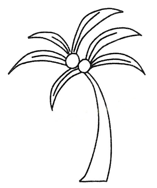 5款关于椰树的简笔画大全