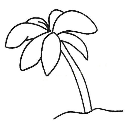 5款关于椰树的简笔画大全