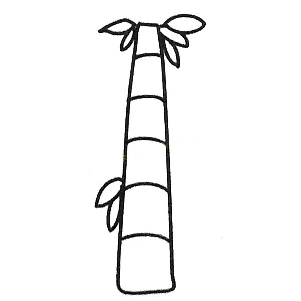 4款关于竹子的简笔画大全