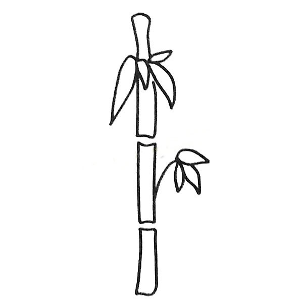 简单的竹子怎么画