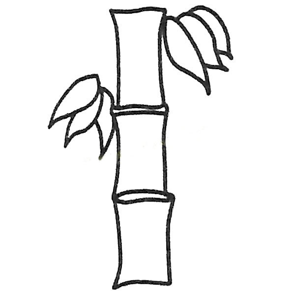 粗壮的竹子简笔画