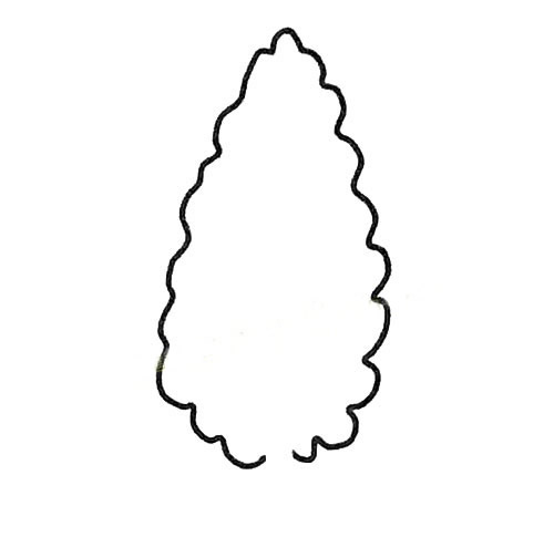 白杨树简笔画步骤教程