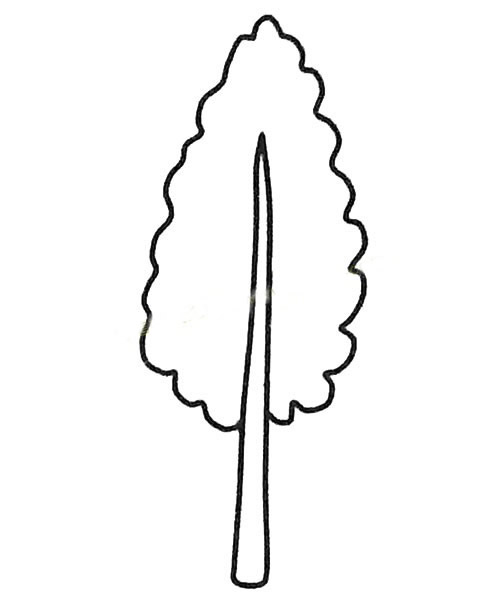 白杨树简笔画步骤教程