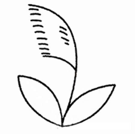 带颜色的芦苇简笔画教程