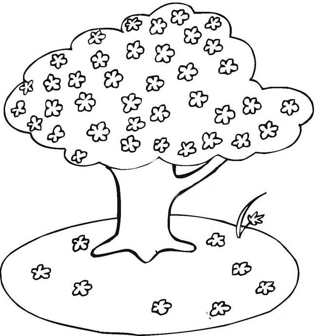 盛开的樱花树简笔画