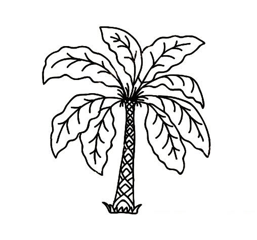 关于古树的简笔画