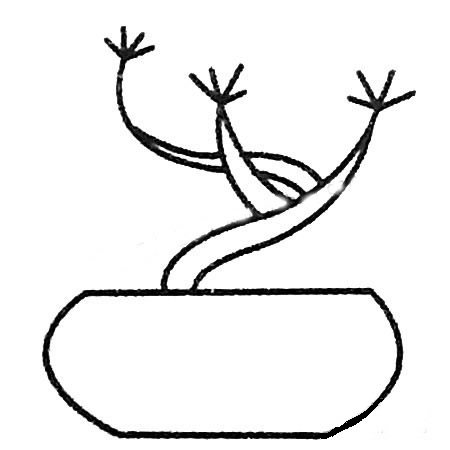 3款小树盆景简笔画
