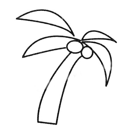 两款简单的椰子树简笔画