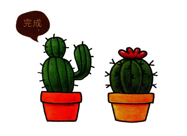 两盆彩色的仙人球简笔画教程