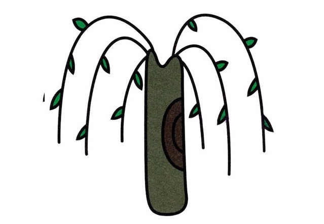 简单涂色的柳树简笔画