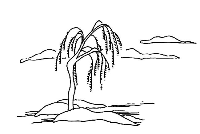 简单写意的柳树简笔画