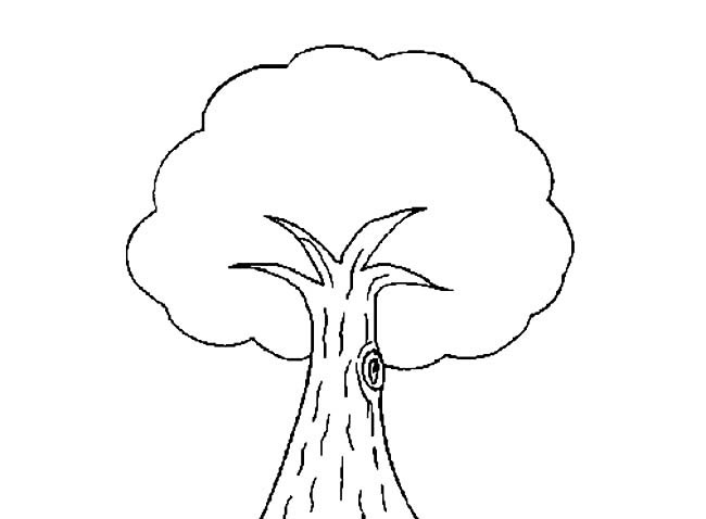 5款关于大树的简笔画大全