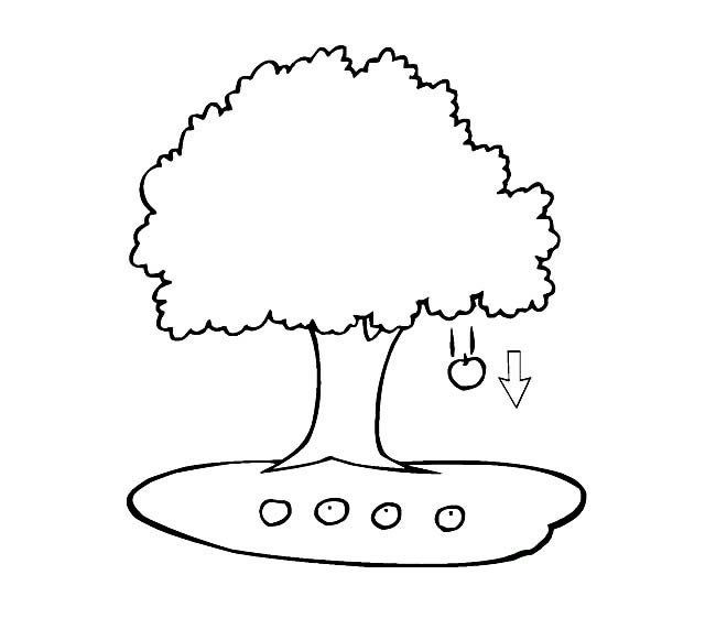 落了一地苹果的果树简笔画