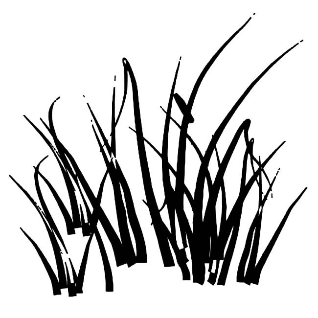 关于草丛的简笔画