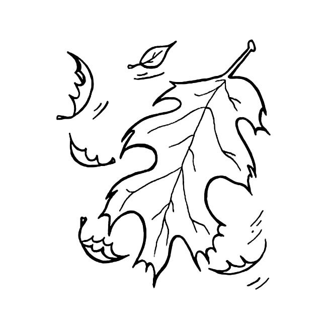 随风飘荡的落叶简笔画