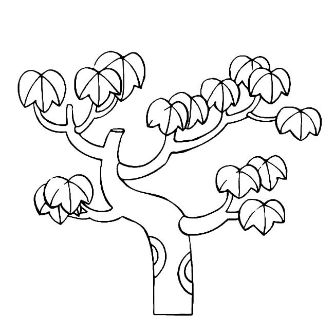 秋天的大树简笔画