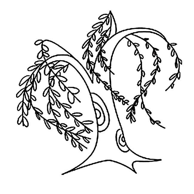 长满枝条的柳树简笔画