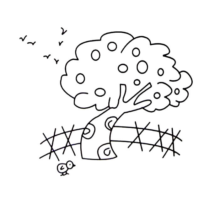 果园里的果树简笔画
