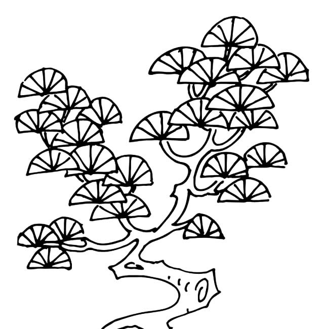 盆景松树简笔画