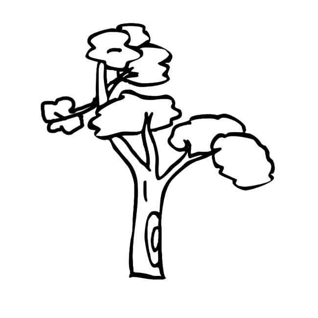 简单易学的大树简笔画