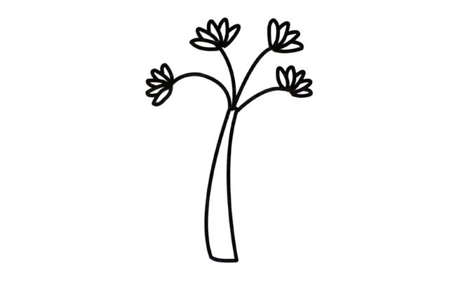 关于小树苗的简笔画