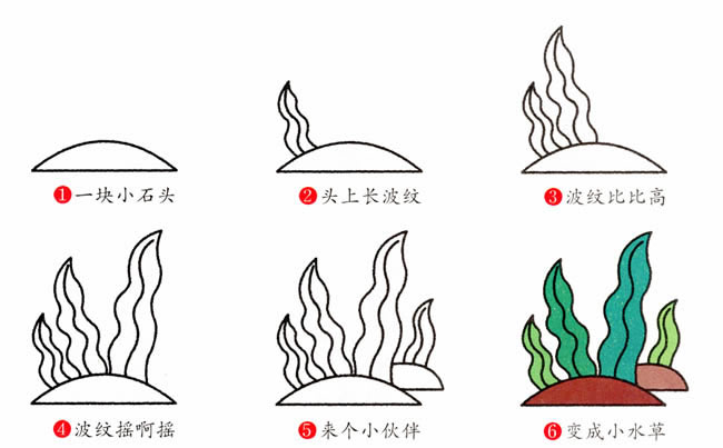 关于水草的简笔画教程