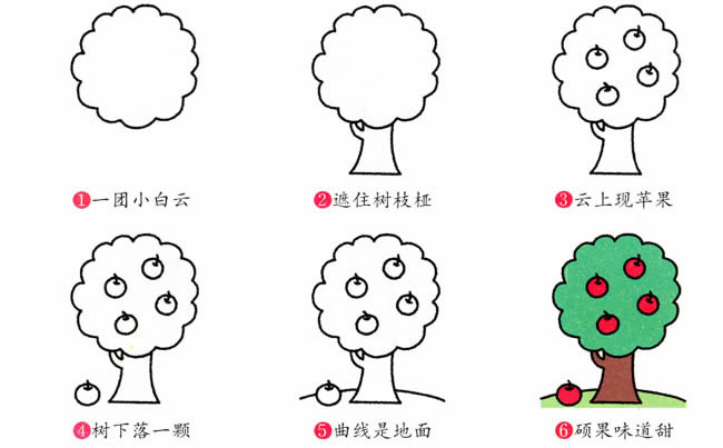涂色的苹果树简笔画教程