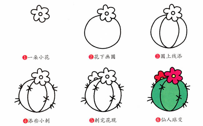 开花的仙人球简笔画教程