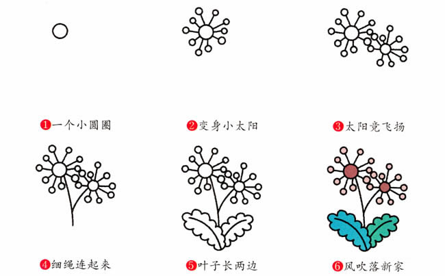 涂色的蒲公英简笔画教程