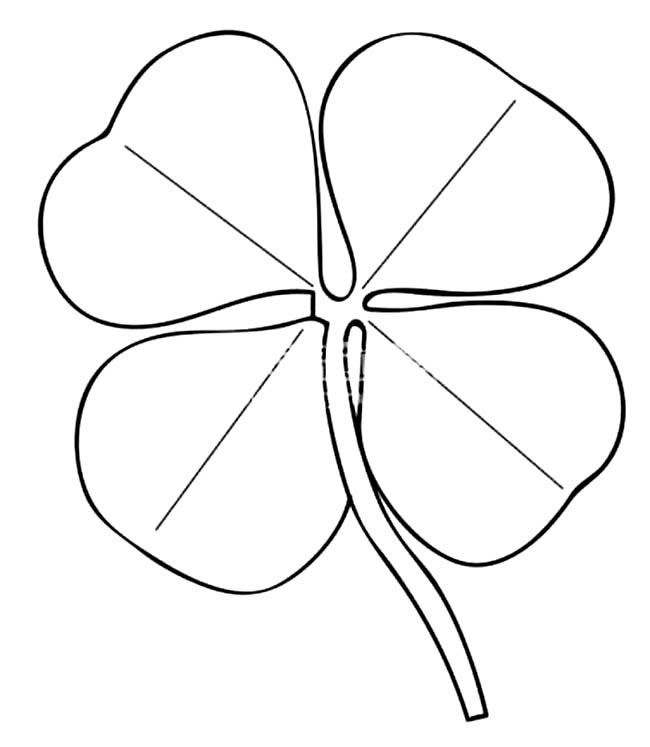 关于四叶草的简笔画