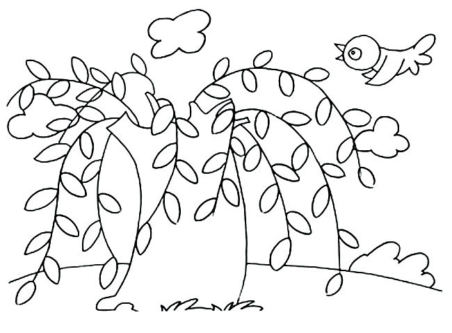 柳树和小鸟的简笔画
