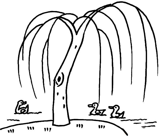 池塘边的柳树简笔画