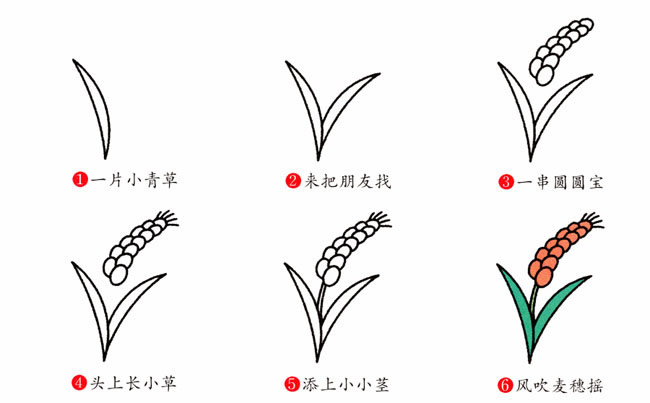 带颜色的麦穗简笔画教程