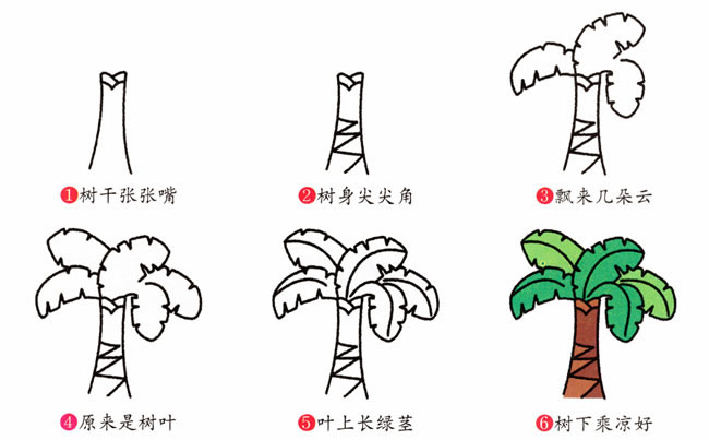 带颜色的芭蕉树简笔画教程