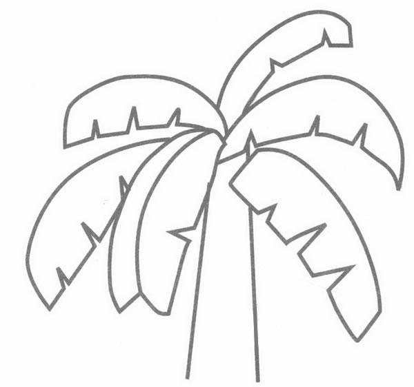 芭蕉树简笔画