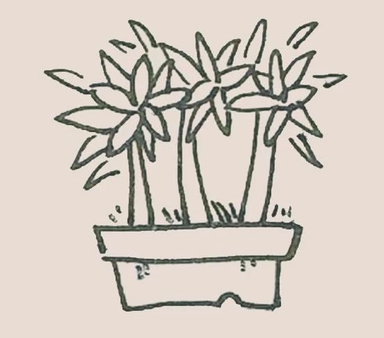 简单的盆栽儿童画