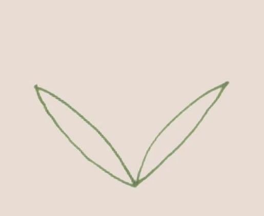 香蒲简笔画步骤