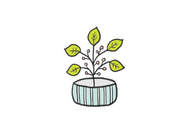 分享几组盆栽简笔画