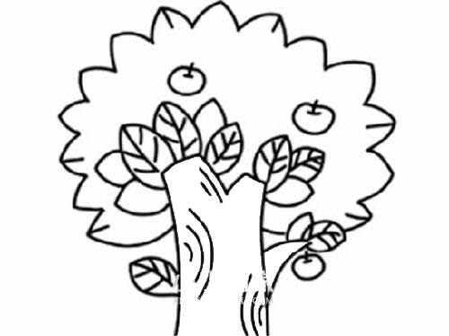 苹果树简笔画画法