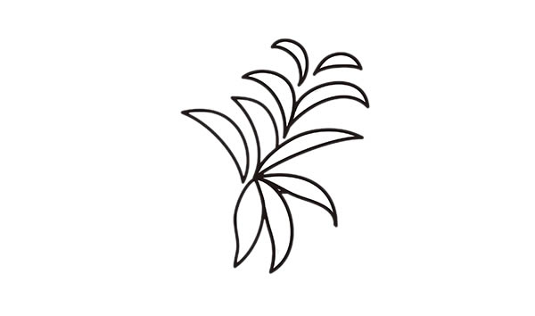 彩色的吊兰简笔画 彩色的吊兰简笔画
