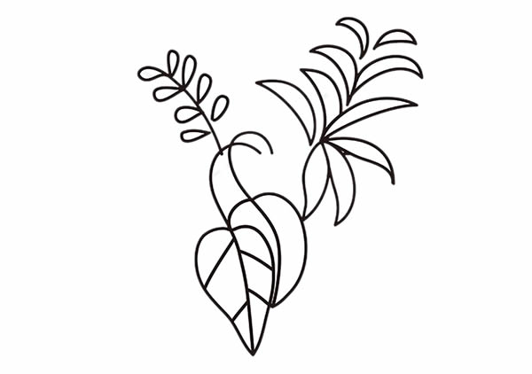 彩色的吊兰简笔画 彩色的吊兰简笔画