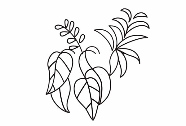彩色的吊兰简笔画 彩色的吊兰简笔画